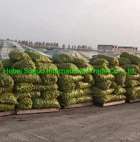 2022 New Crop Excellent Quality Dried Xinjiang 185 Walnut Inshell