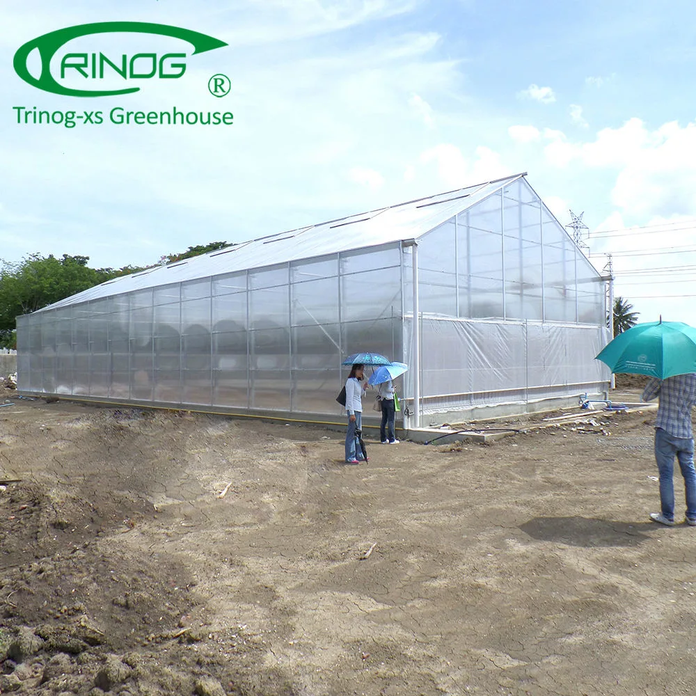 Low cost light light deprivation polycarbonate greenhouse cover for medicine plant