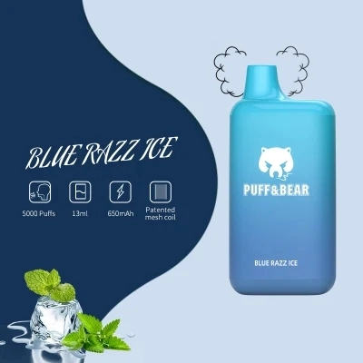 Best Popular Puff & Bear 5000 Puffs 13 Ml E-Cig Pod Disposable/Chargeable Vape