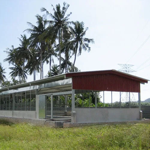Steel Structure Farm Equipment Chicken House for Philippines Prefabricated Poultry House