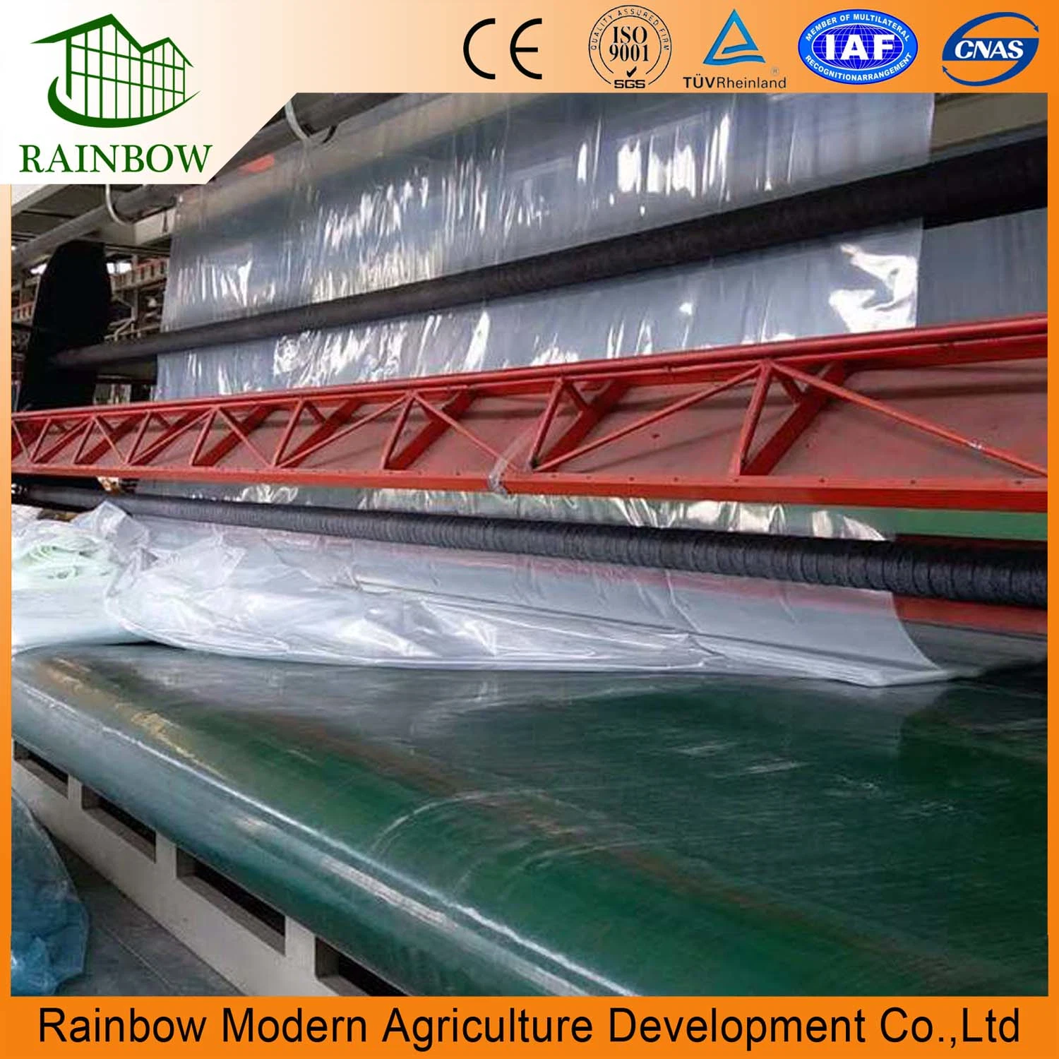 Plastic Film for Greenhouse Green House Plastic Agricultural Film