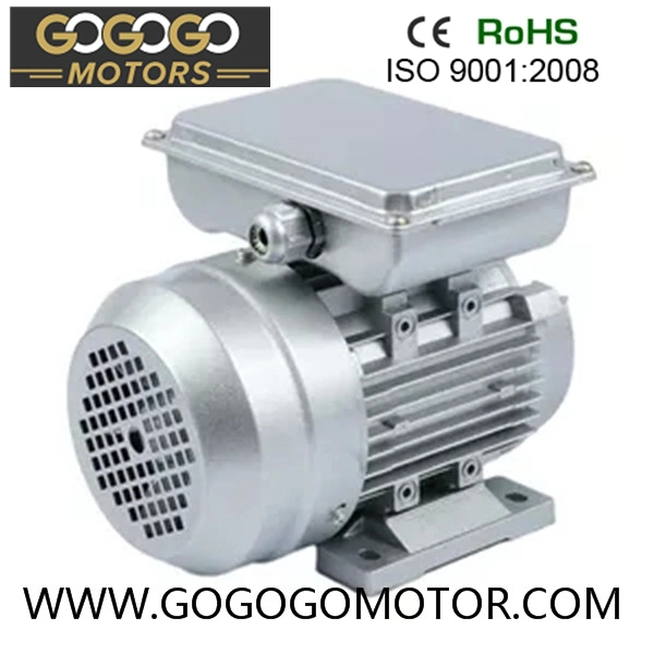 AC Single Phase Electric Induction Motor 220V 0.5HP 1HP 1.5HP 2.2HP 3HP 4ho 5.5HP Yc Series