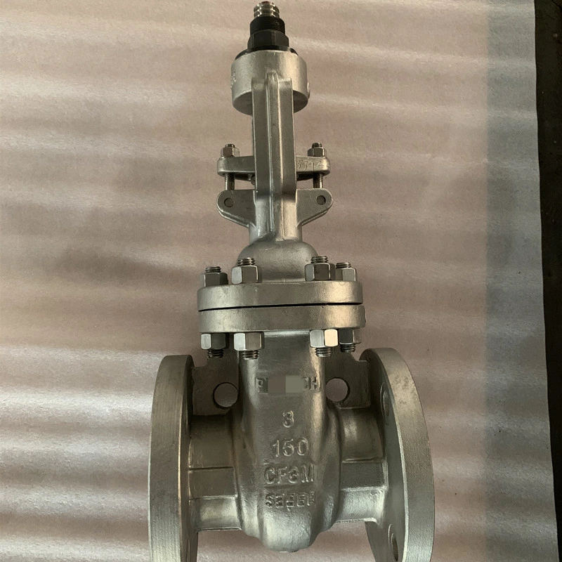 Cast Stainless Steel Gate Valve A351 CF8m SS316 300lb with Bolted Bonnet Design