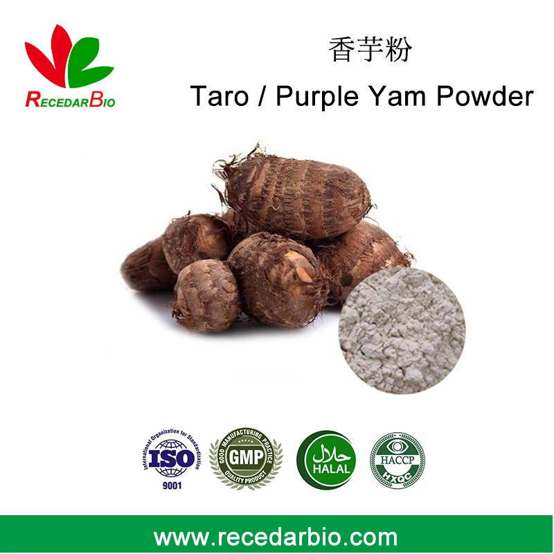 100% Natürliches Spray Trocknungs-Pflanzliches Pulver Purple Yam Taro Pulver