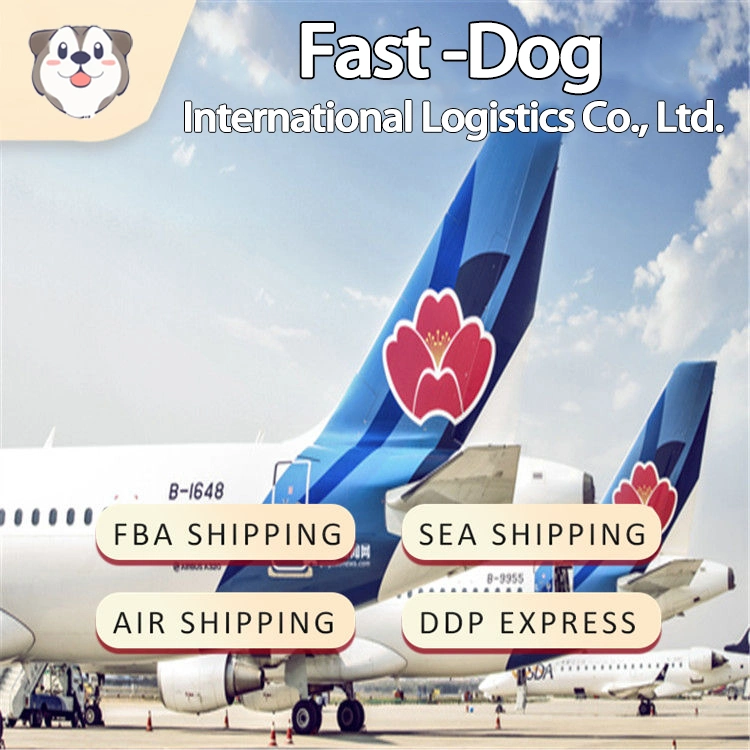 Global Express Freight Forwarder Door to Door Delivery Services Shipping From China Logistics Companies to Worldwide