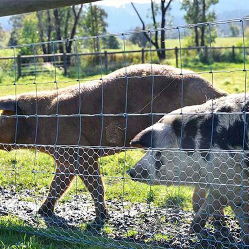 Alimentation directe en usine fil recouvert de PVC maillage Hollande Euro Fence Pour le bétail de chèvre de vache de grande ferme d'animaux de clôture