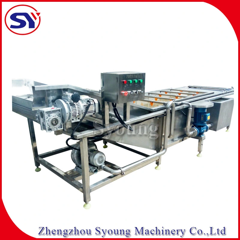 Vegetable Bubble Spray Industrial Washer Conveyor for Beet Root