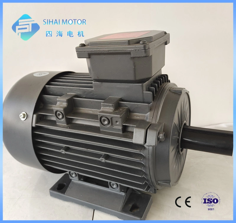 Le2/Le3 Efficiency 1.5HP 1.1kw Cast Iron AC Electric Three Phase Motor