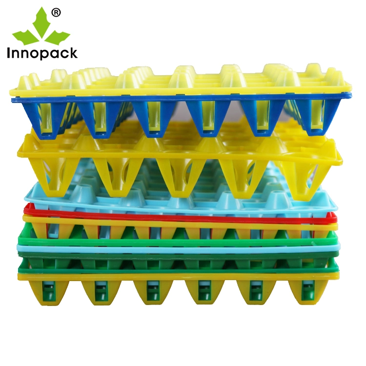 Hot Sale Plastic Egg Trays 30 Hole 12 Hole Custom Color