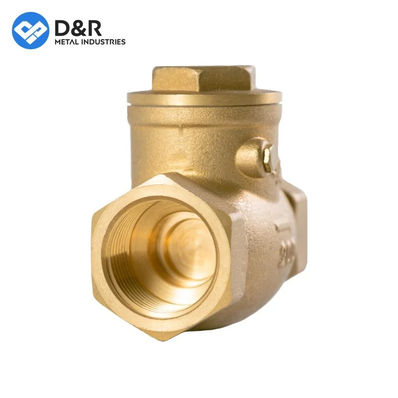 High quality/High cost performance Forged Brass DN20 Check Valve OEM Female Thread Control Water Non Return Valve