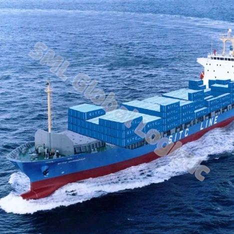 Professional Shipping Forwarder to Japan From China/Shenzhen/Guangzhou/Foshan