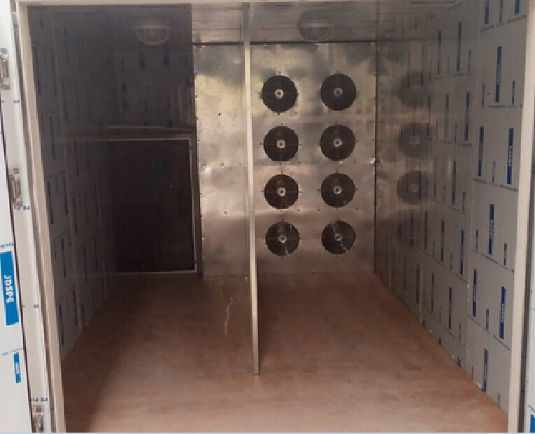 300 Kg Per Batch Dryer Oven for Dehydrating Fruits and Vegetables