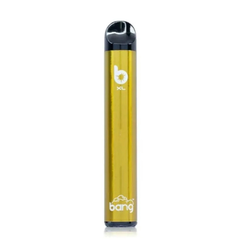 Hot Sales Bang XL Pre-Filled Disposable/Chargeable Vape E Cigarette with 500 Puffs