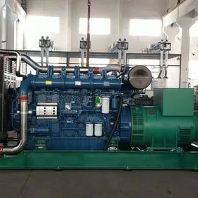 230/400V Hochspannung niedrige Drehzahl Erdgas Biogas Generator China Hersteller