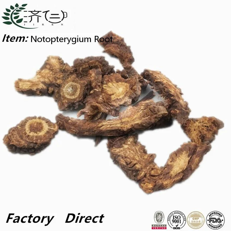 Qiang Huo 100% Natural Chinese Traditional Herb Dried Notopterygium Root Slice