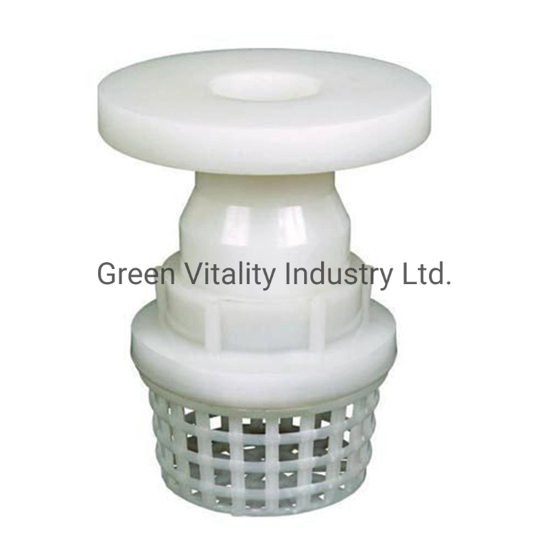 Agriculture Practical Irrigation Plastic Exhaust Valves Plastic Injection Moulded Foot Valve