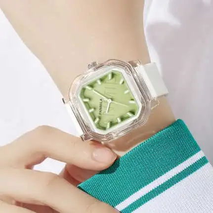 Eco-Friendly OEM Plastic Transparent Watch