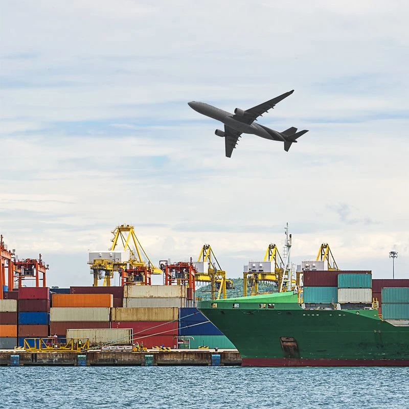 Sea Shipping Air Cargo Freight Forwarder to Denmark/Spain/France Agents Service Logistics Freight