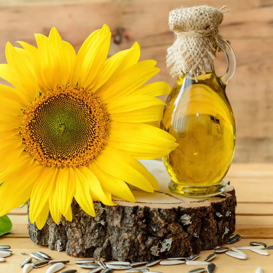 High-Quality Pressed Cooked Bulk Wholesale/Supplier Supermarket Cuisine Sunflower Oil