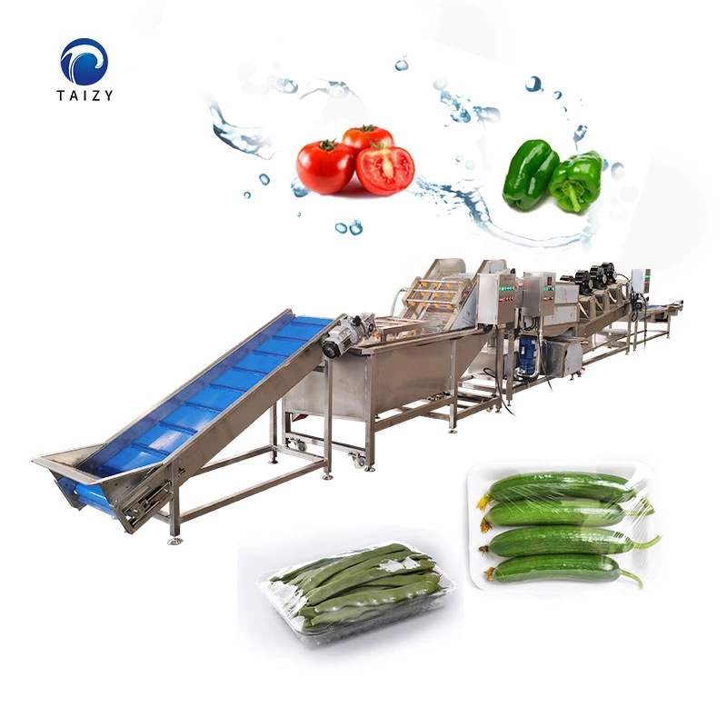 Industrial Fruit and Vegetable Air Bubble Washing and Drying Production Line