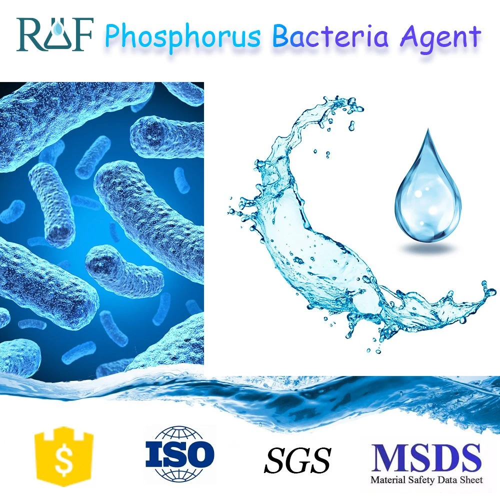 Low Temperature Resistant Pm Bacteria Agent