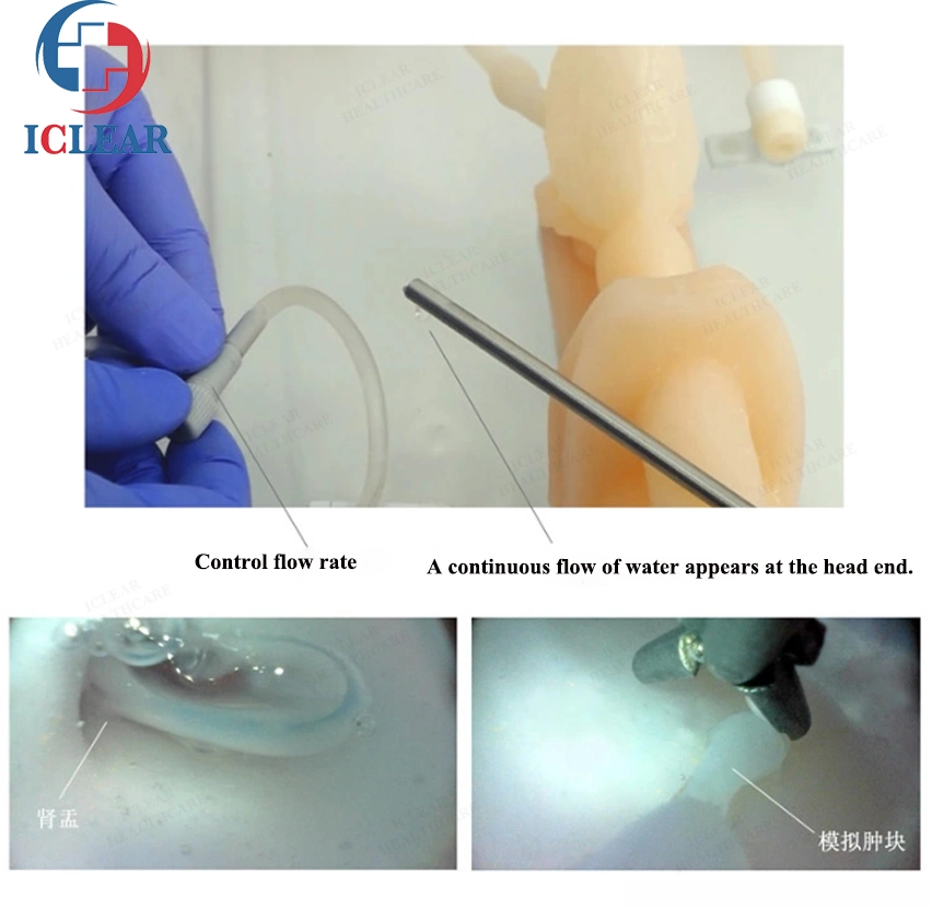 Ureteroscopy Simulation Training Urinary Endoscopy Training Model Hollow Material Is Soft and Tough