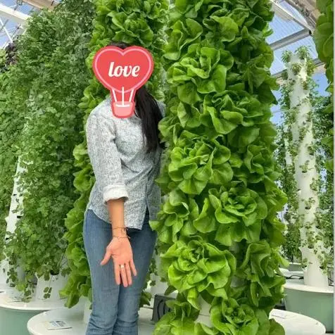 Großhandel Haushalt Günstige Vertikale Turm Hydroponic Indoor Garten Indoor Growing Kit China Hersteller