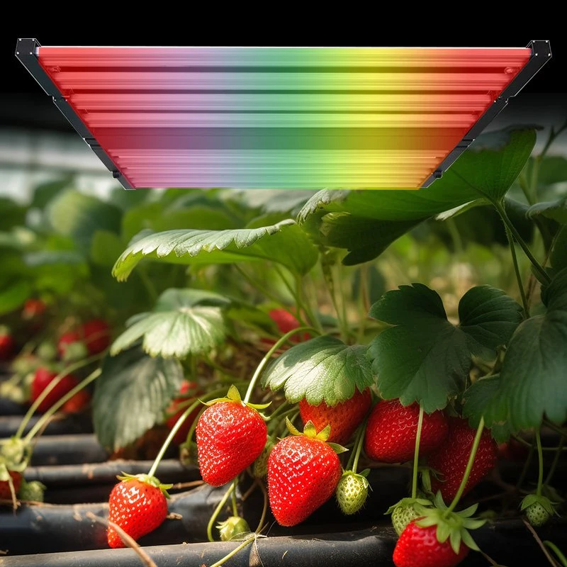 مجموعة إضاءة الصابورة الرقمية الخفيفة الوزن HPS 600 واط نظام داخلي النباتات تنمو الدفيئة الزراعية