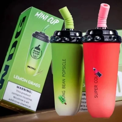 Cigarro electrónico desechable WDG Mini Cup 5000 Puffs 600 mAh Recargable