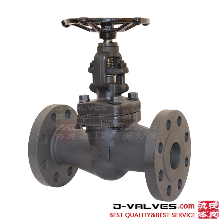 Forged Steel A105 13%Cr Trim Reduced Port Socket Welding Flange RF Globe Valve