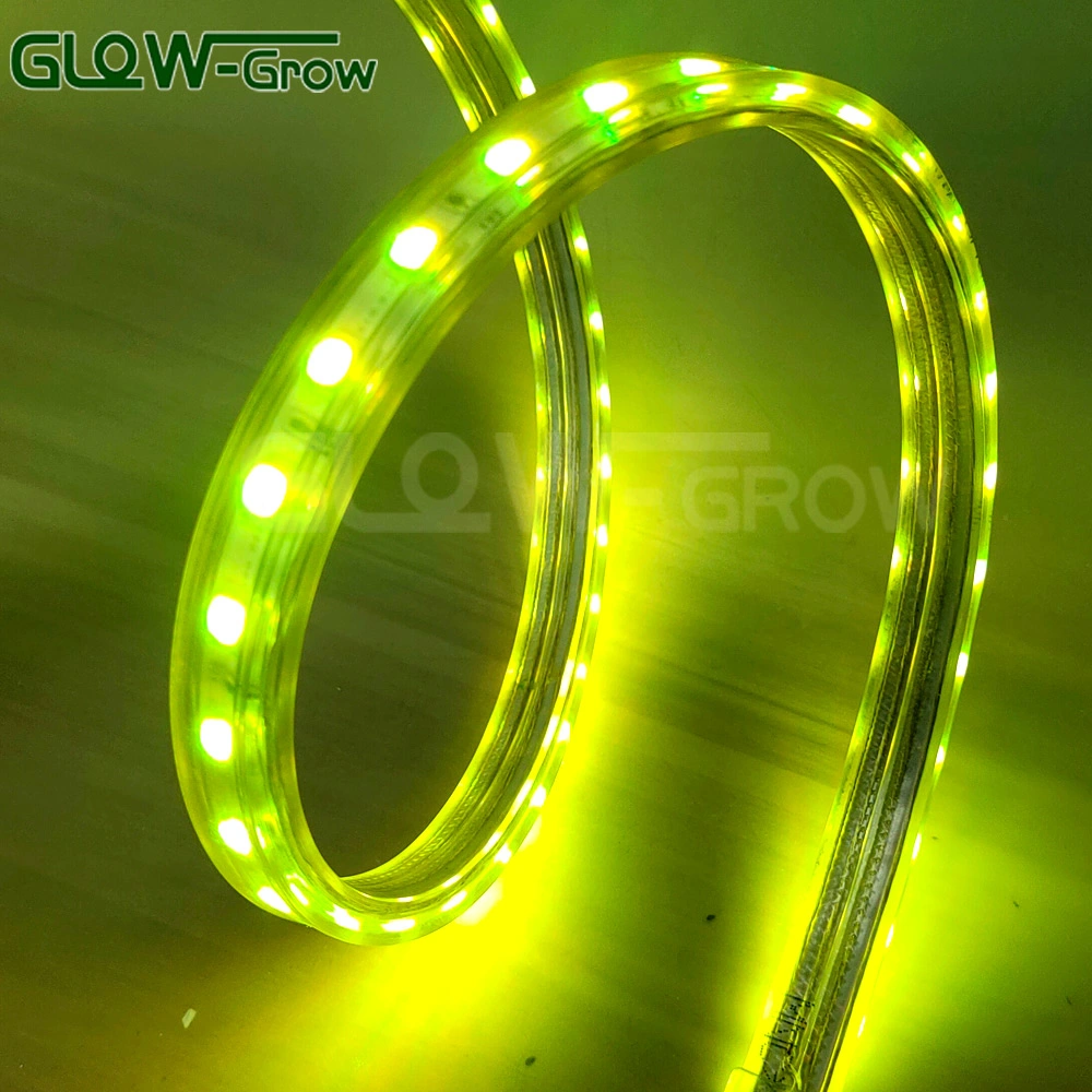 Easy Installation IP65 Waterproof High Voltage RGB Sync LED Strip Light 5050 Strip LED 220V for Landscape Outdoor Christmas Decoration