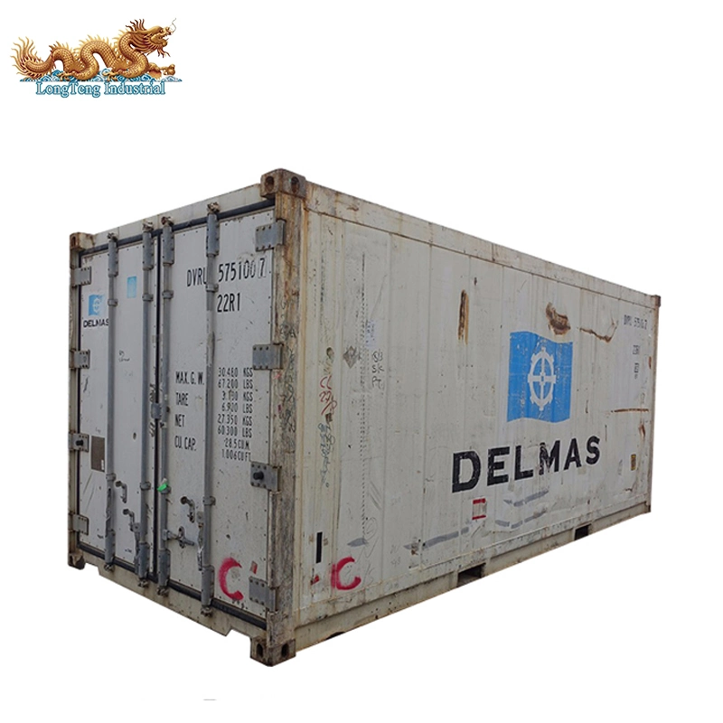 Used 20FT Refrigerator Carrier Daikin Thermo King Reefer Container for Sale