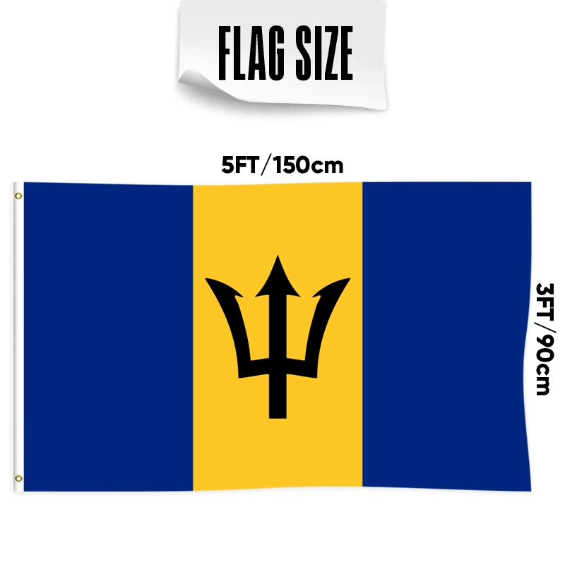 Custom 2*3FT 3*5FT 4*6FT Double Sided Barbados Country Car Banner Stick Flag