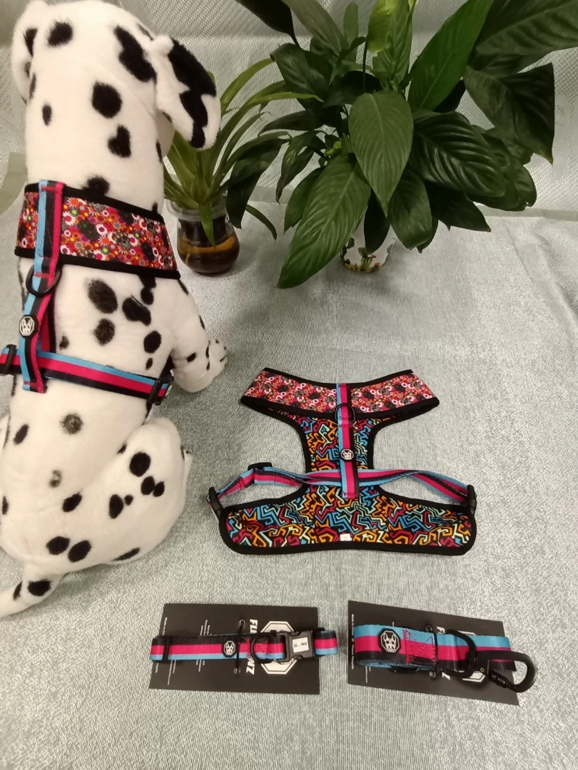 Hot Sale OEM/ODM Personalized Pet Accessories Print Reflective Reversible Quick Release Padded Polyester Pattern Dog Harness Set