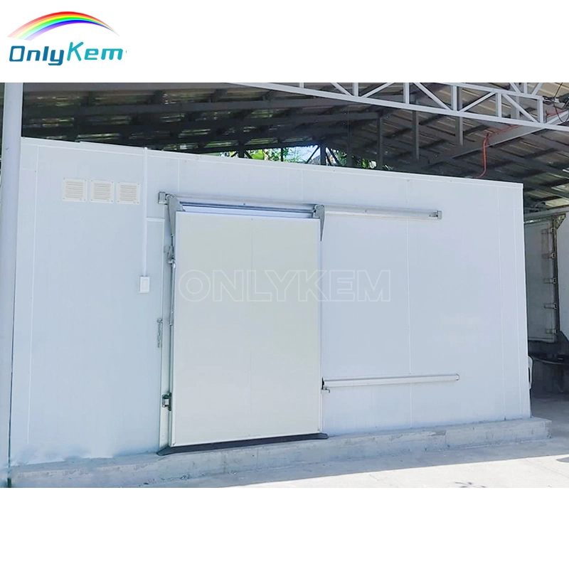 Cold Room/Cold Storage/Cooling Room/Freezer for Frozen/Keep Fresh Products