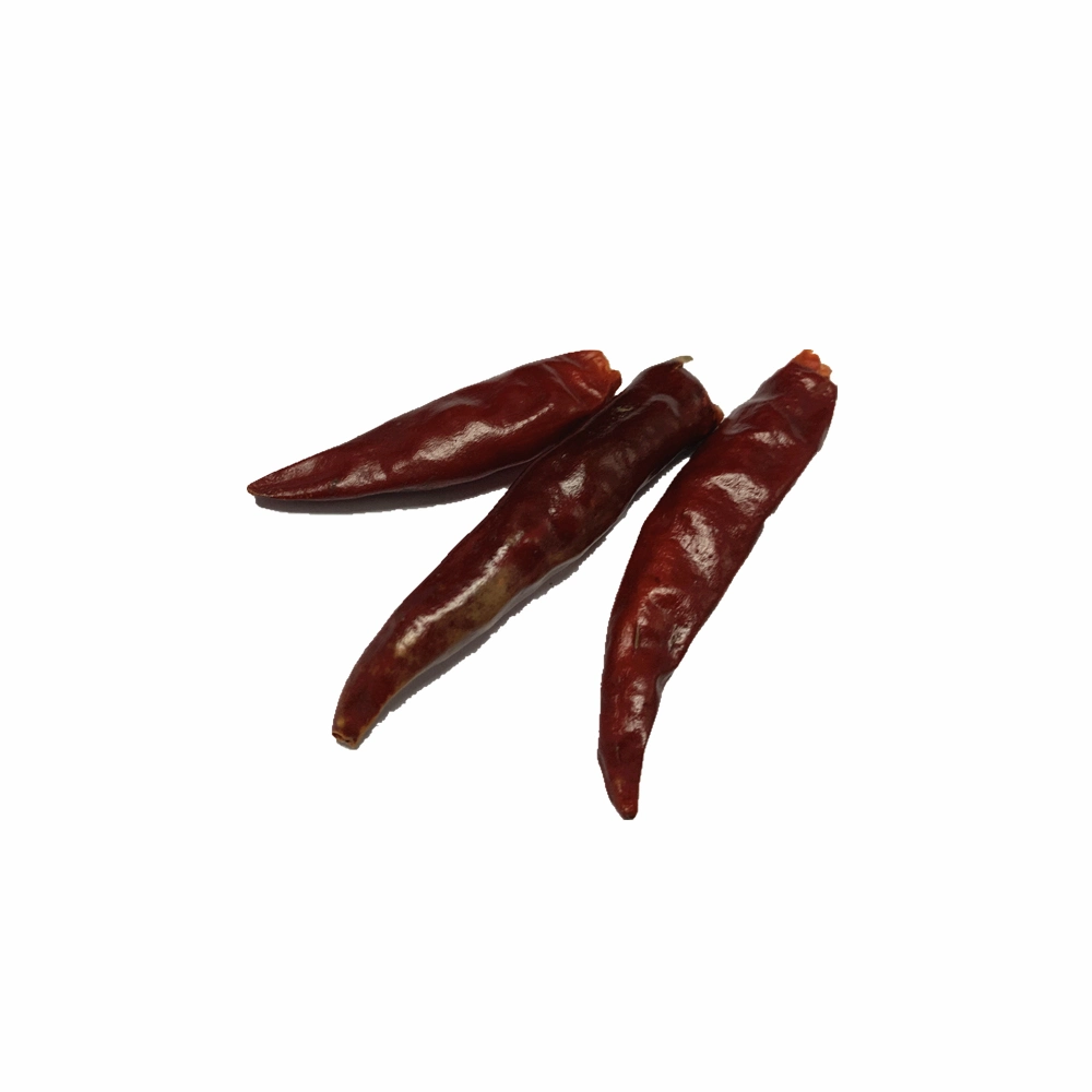 Wholesale/Supplier Best Price Factory Direct Sale Dried Red Chilli