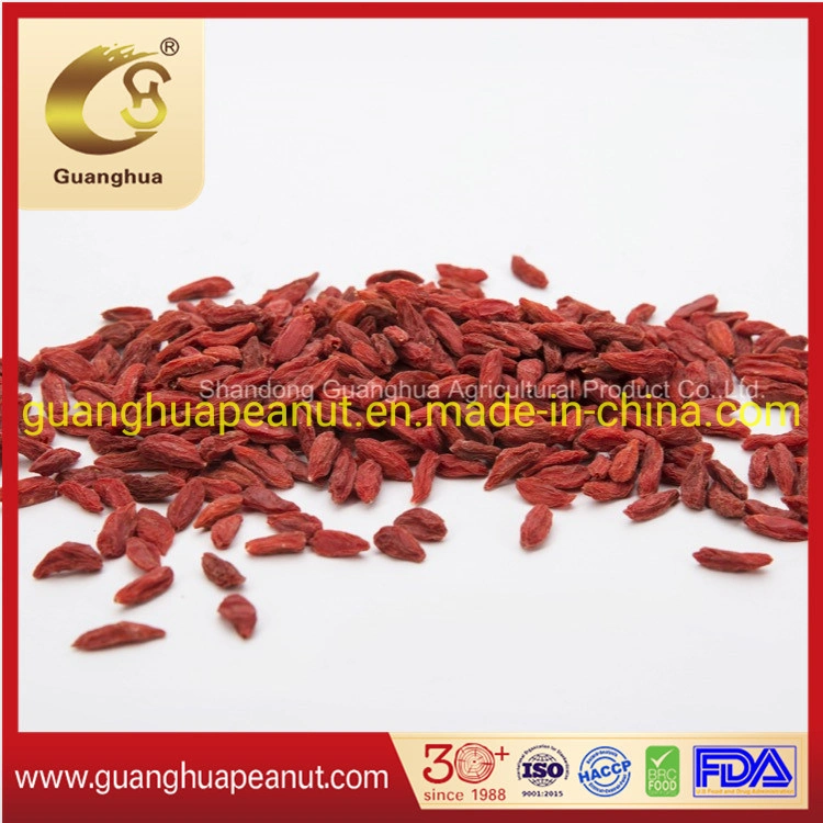 Deliciouse Healthy New Crop Goji Berry