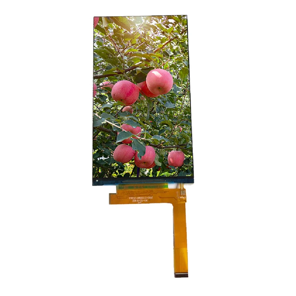 5 Zoll 720 * 1280 MIPI Display IPS 7703 Customized HD LCD Angezeigt