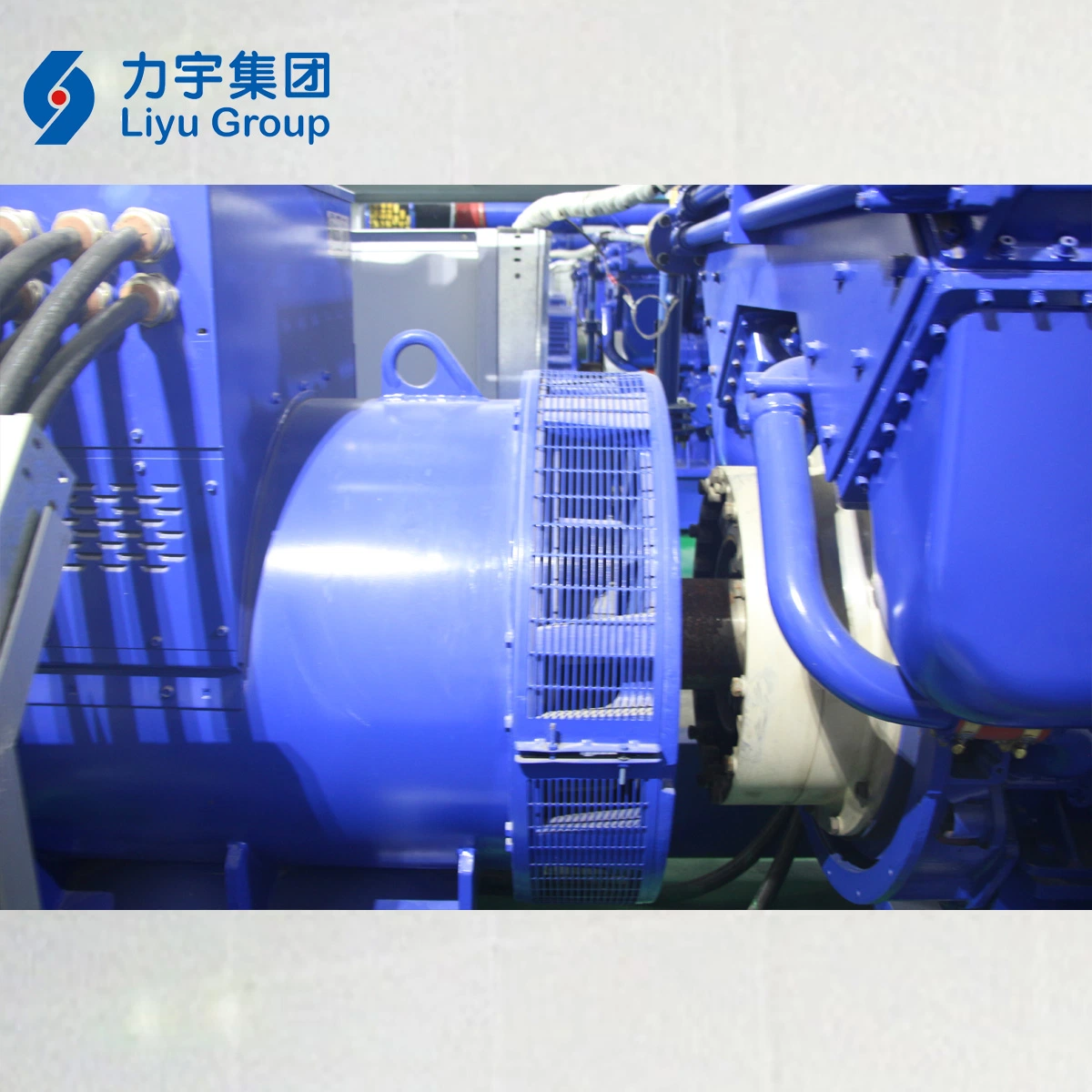 Liyu 1200kw Plant/Containerized/Soudproof High Voltage Gas-Fired Internal Combustion Engine Biomass Gas Energy Genset