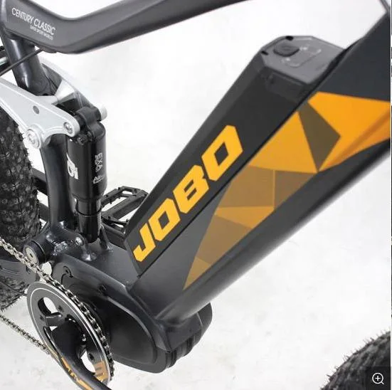 Neues Design elektrisches Snow Fat Bike mit Suspesion 1000W Motor