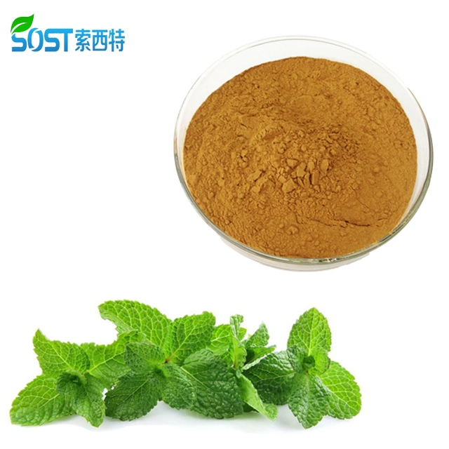 Water Soluble Pure Natural Peppermint Powder