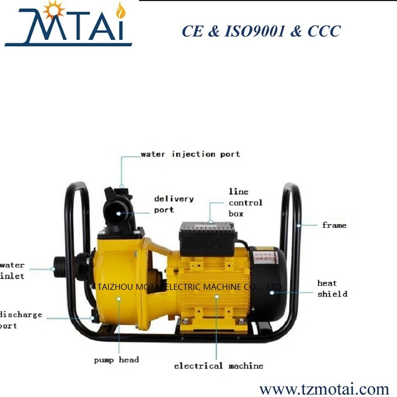 2&prime;3&prime; 4&prime;DSU Rainproof large flow centrifugal self-priming pump