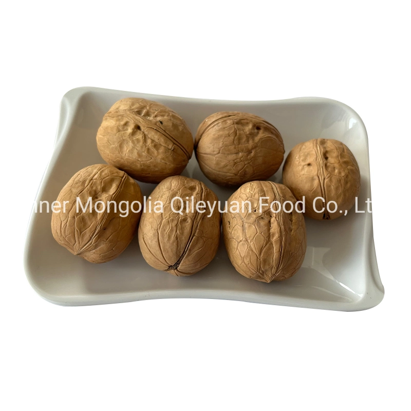 Factory Price Wholesale Chinese Dried Fruit Xier Walnut in-Shell