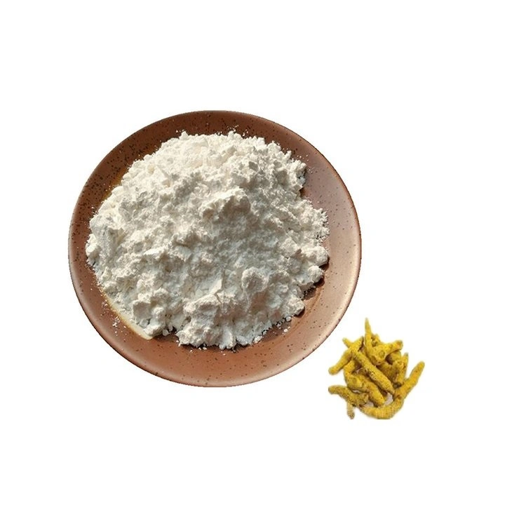 White Fine Powder Curcumin Extract Tetrahydrocurcumin 98% for Skin Care Tetrahydrocurcuminoids