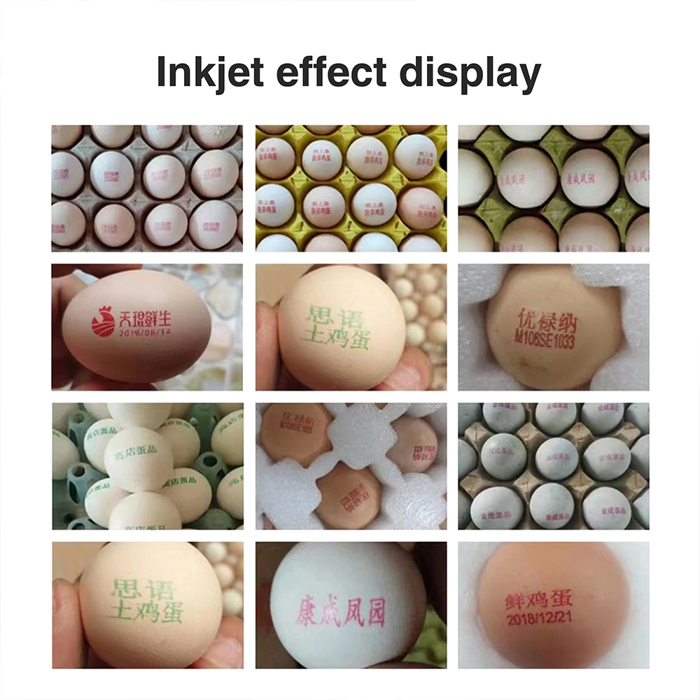 Foi libre de lavage et l'automne une preuve d'encre de qualité alimentaire de buse pour les oeufs de l'impression