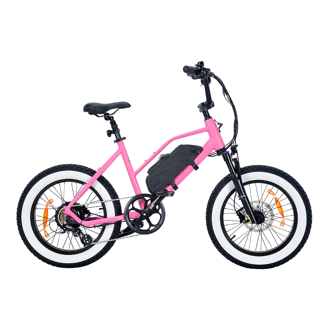 Vélo Electrique Vélo motorisé pour les jeunes avec la suspension pour dames de la fourche avant pour la ville de personnes Ebike