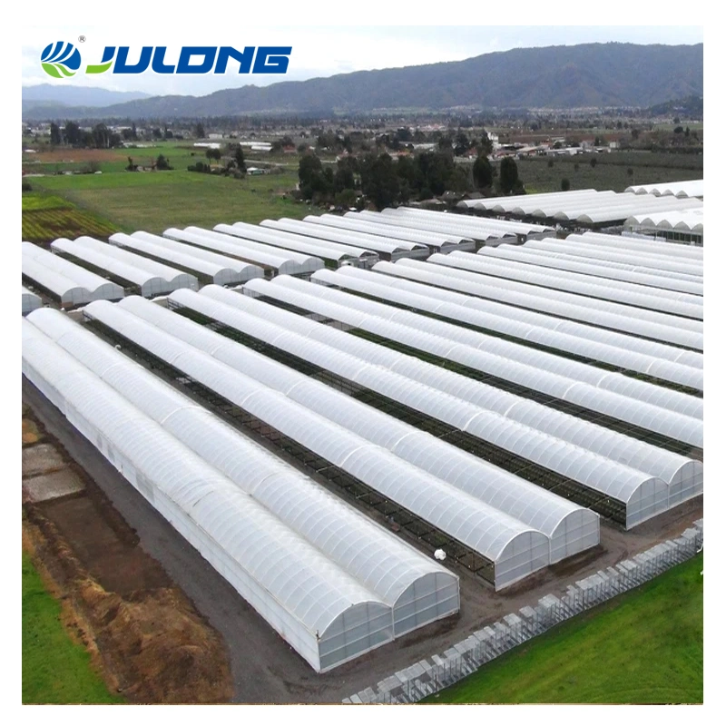 Fornecedores da China proteção UV 5 camadas 100 mícron 200 mícron Película plástica Green House