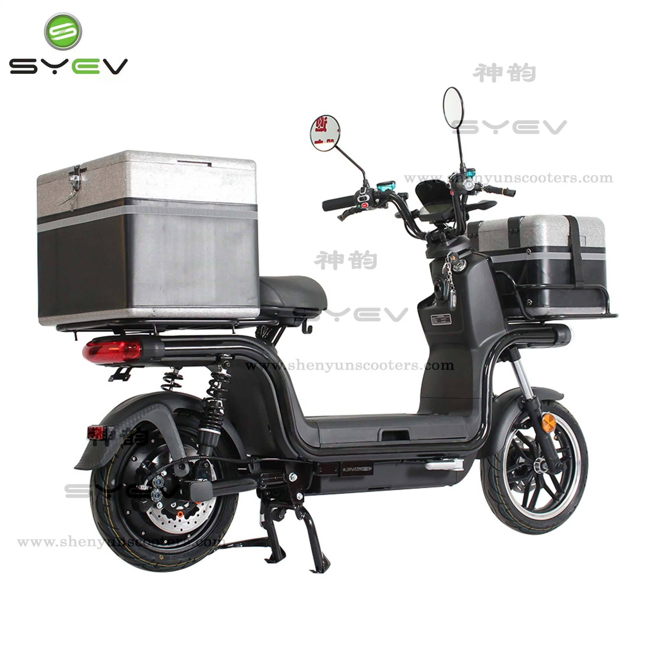 Scooter de vélo électrique simple à deux roues pour le marché local Avec 1200W 45km/H Sy-SM