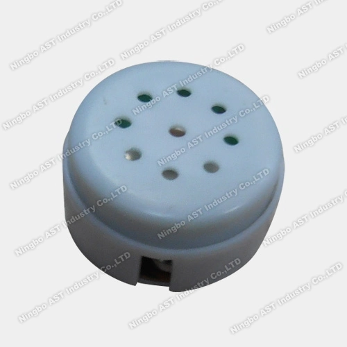 Mini Voice Recorder, Voice Box, Sound Module