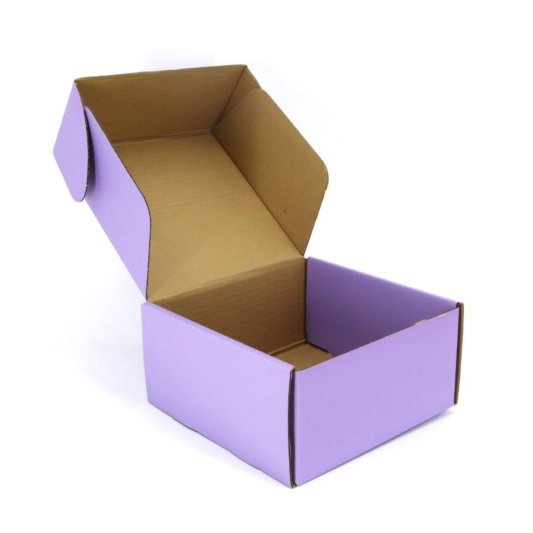 Custom Printing Recycled Kraft Corrugated Packaging Cosmetics Bottle Tray Carton Paper Box Package